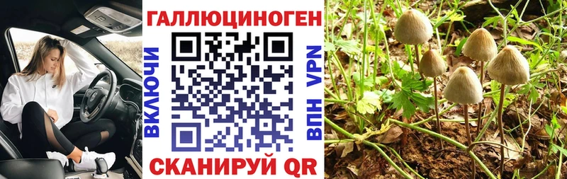 Псилоцибиновые грибы прущие грибы мега ССЫЛКА Брянск
