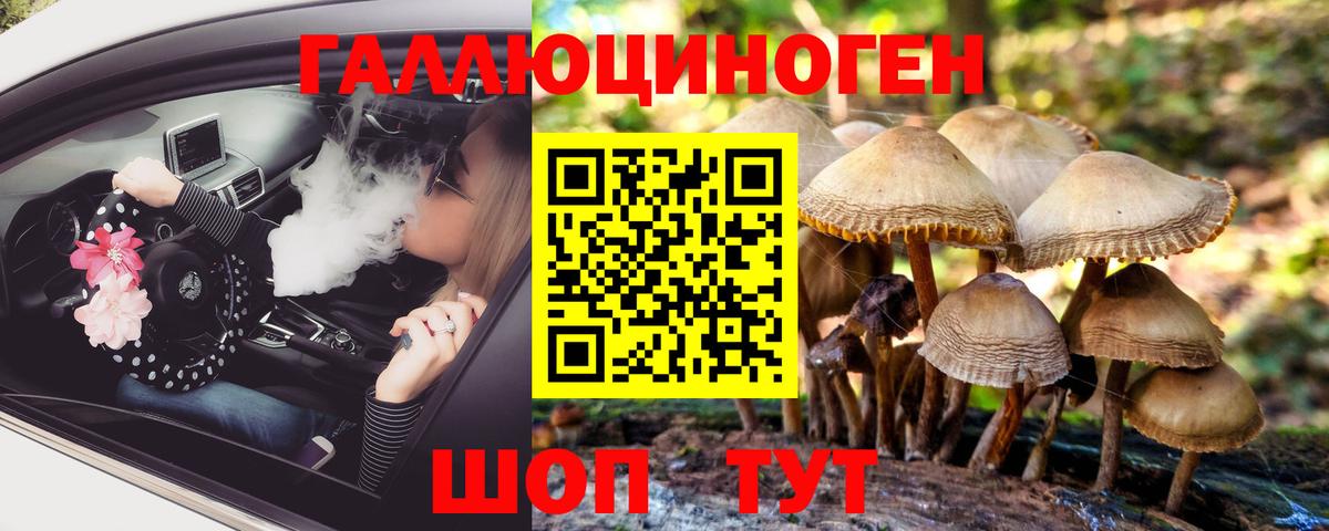 Галлюциногенные грибы MAGIC MUSHROOMS Брянск