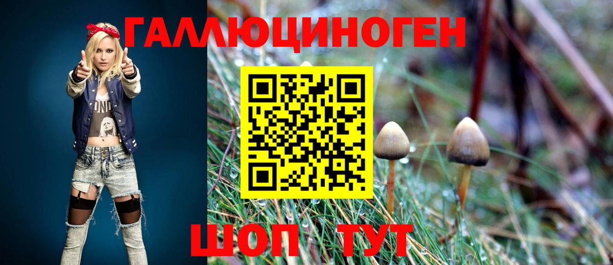 Псилоцибиновые грибы Psilocybine cubensis  купить наркотики сайты  Брянск  Псилоцибиновые грибы прущие грибы 